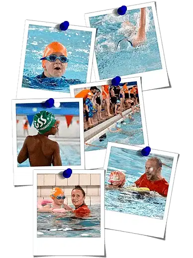 photo gallery polaroids