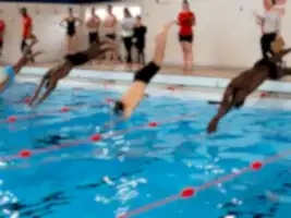 Cindy's Swim School youth swimming lessons diving in small Cindy's Swim School youth swimming lessons diving in small