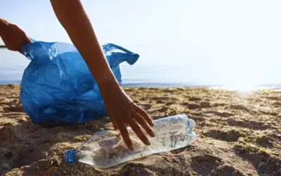 5 Ways to Get Involved in National Marine Week