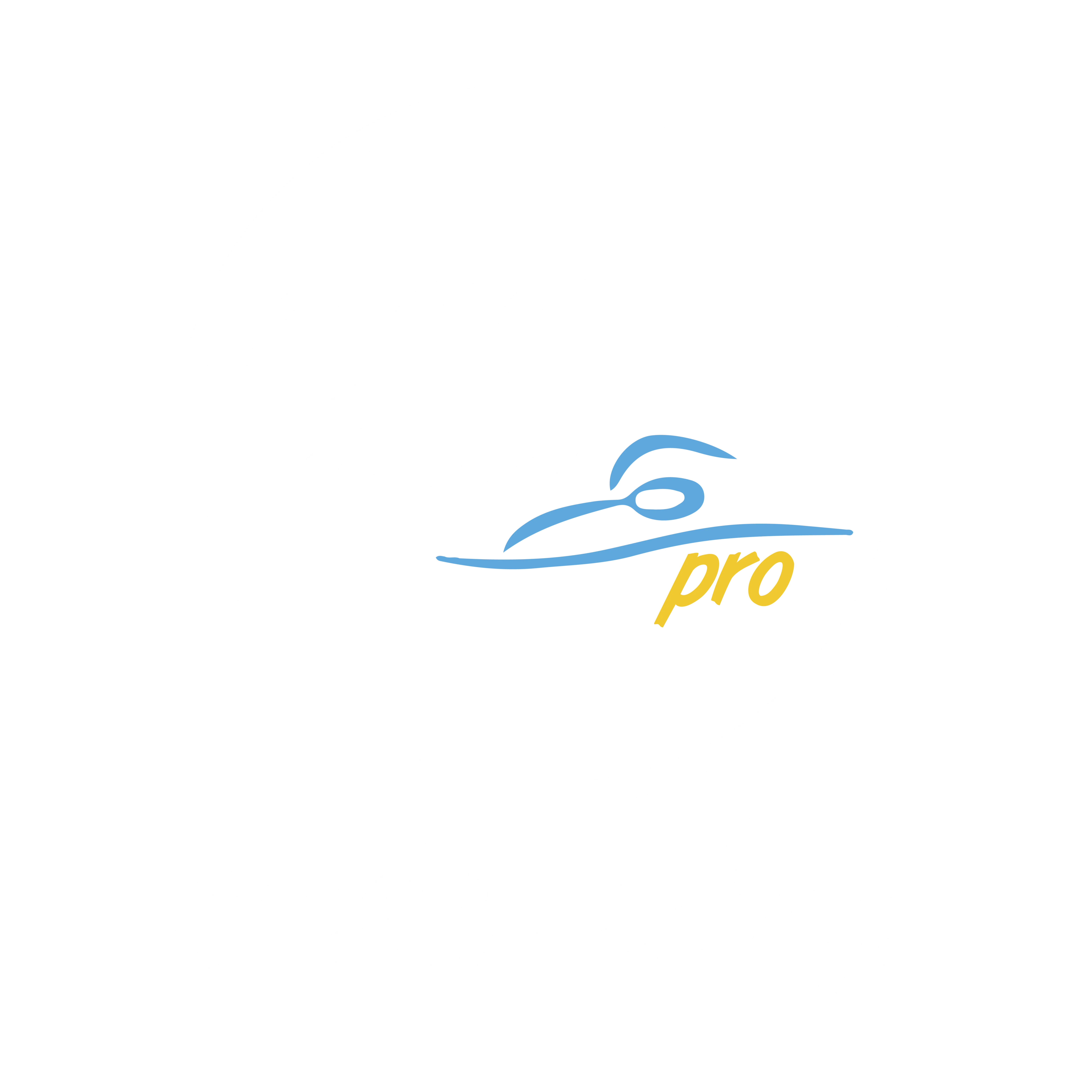 CSS Pro_logo-white text Cindy's Swim School London logo